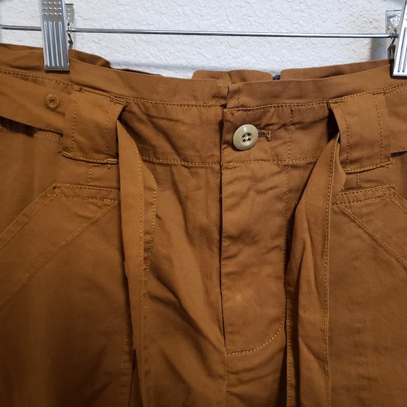 Alex Mill Expedition Cargo Washed Twill Belted Pants in Russet Brown, Size 0 - Picture 6 of 9
